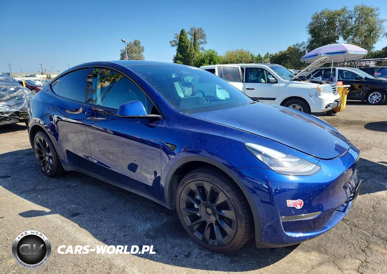 2023 Tesla Model Y VIN:7SAYGDEE7PA029730 - 4