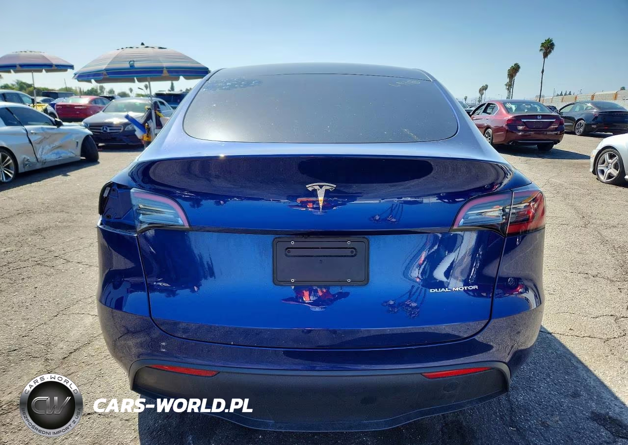 2023 Tesla Model Y VIN:7SAYGDEE7PA029730 - 6