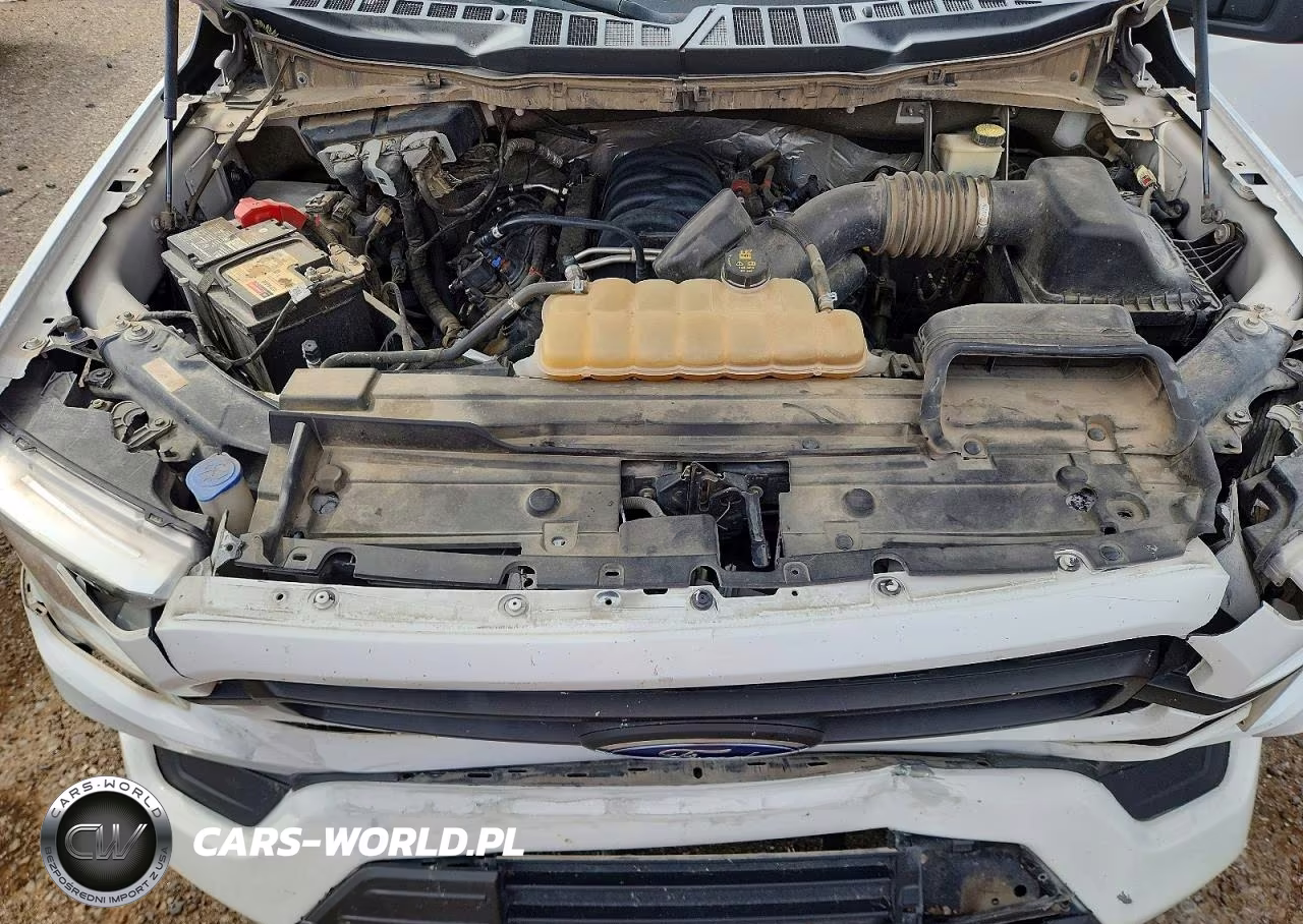 2021 Ford F150 Supercrew VIN:1FTEW1C58MFB49244 - 11