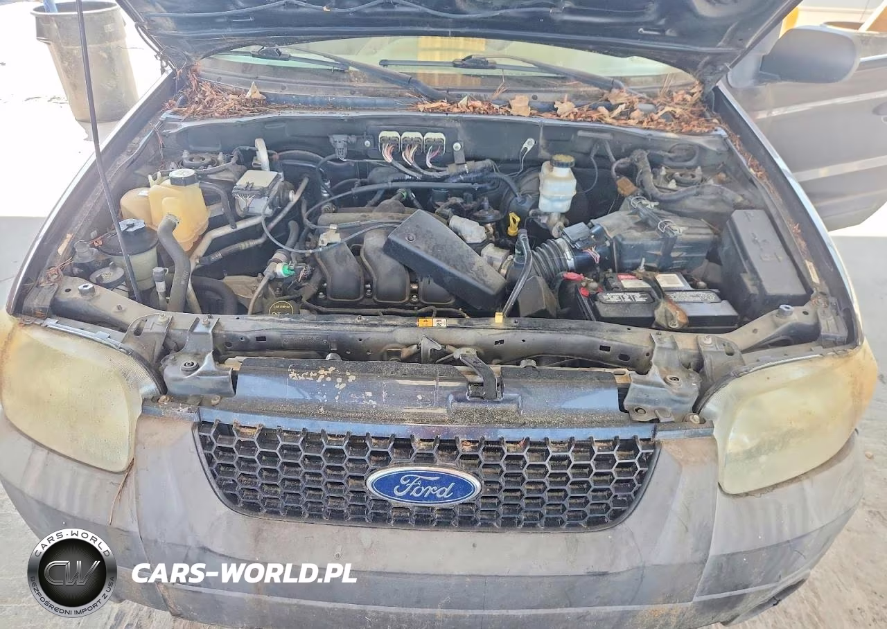 2007 Ford Escape Xlt VIN:1FMYU031X7KB33628 - 11
