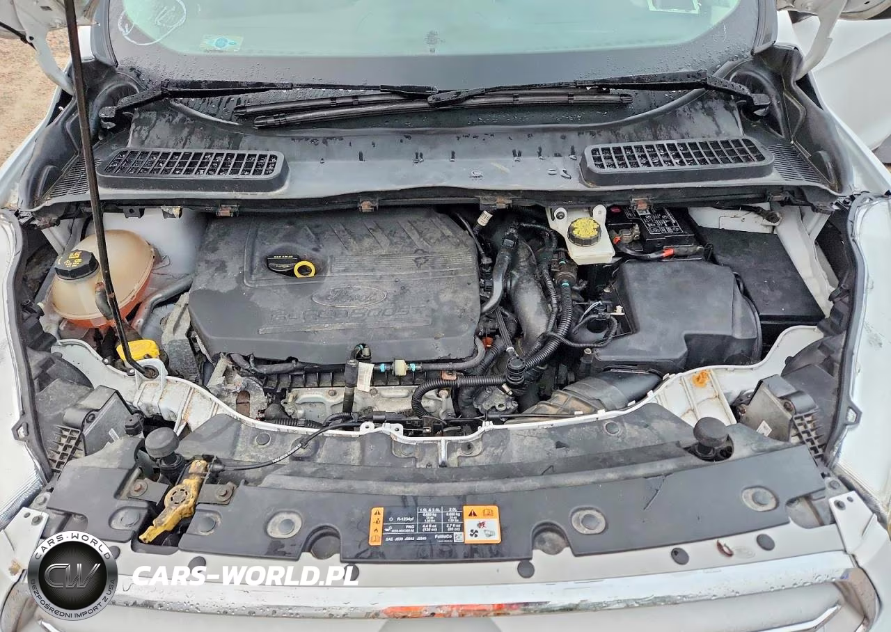 FORD ESCAPE SEL VIN:1FMCU9HD6JUA44202 - 12