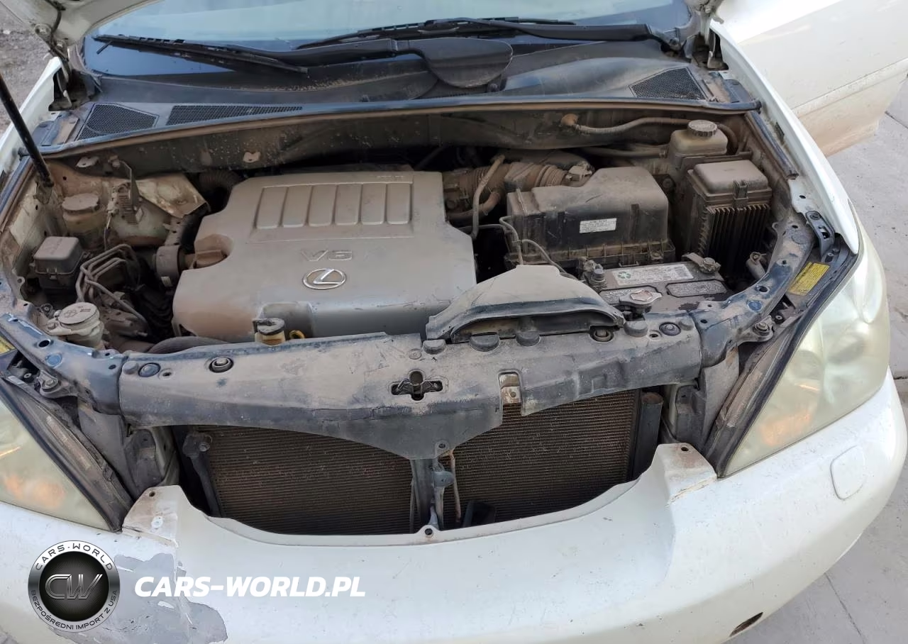 2008 Lexus Rx 350 VIN:JTJGK31U480013970 - 12