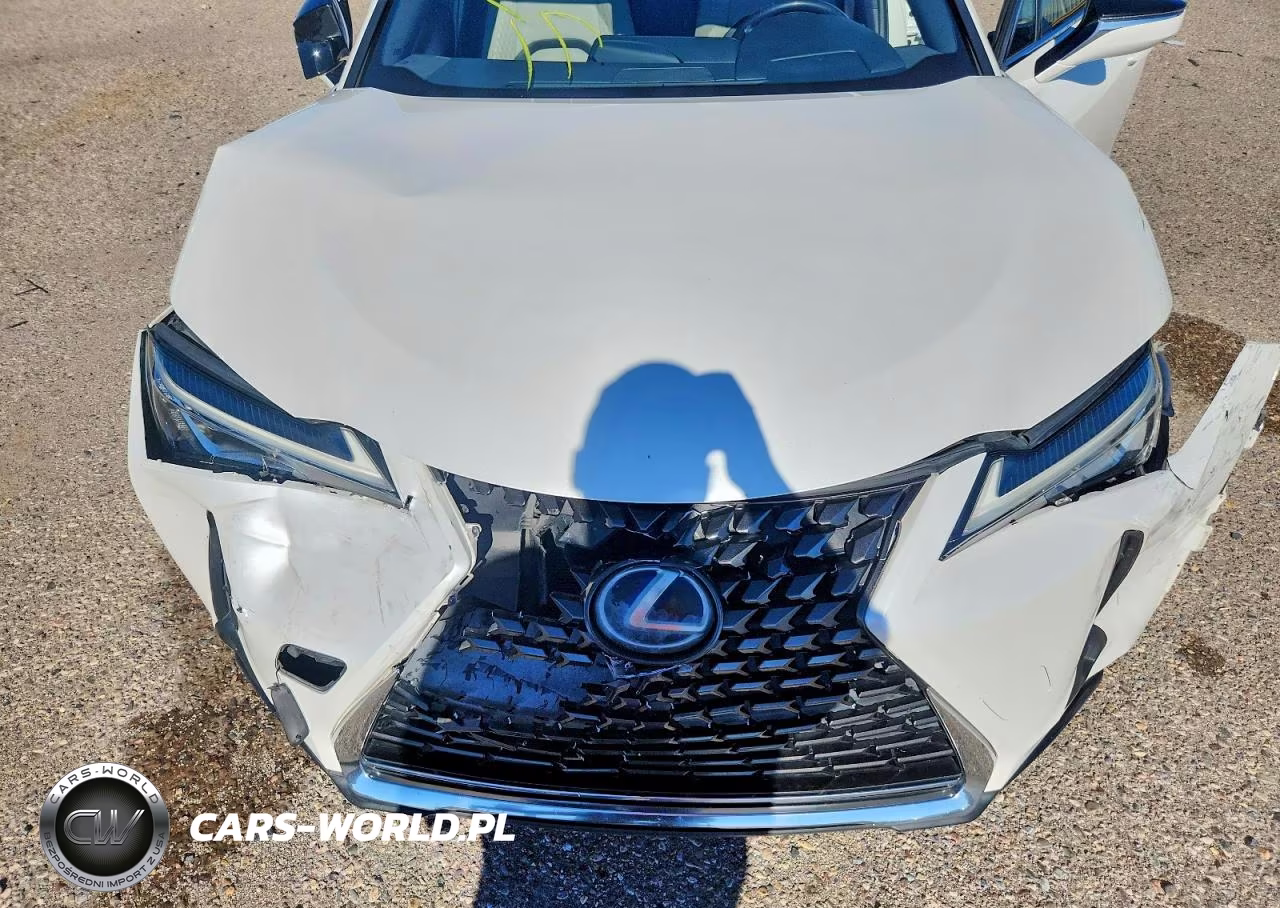 2019 Lexus Ux 250H VIN:JTHU9JBH1K2000711 - 11