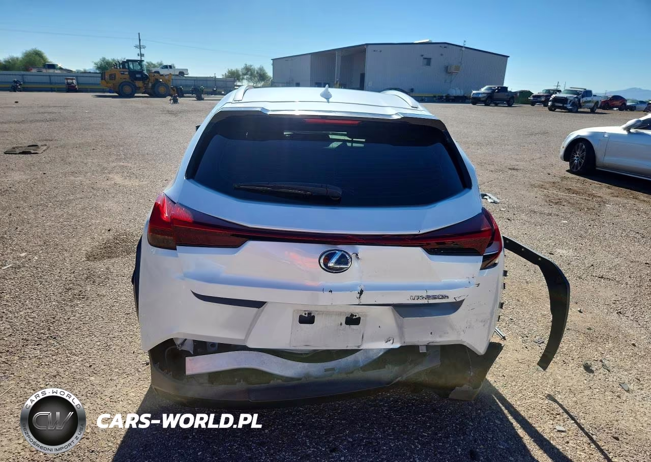 2019 Lexus Ux 250H VIN:JTHU9JBH1K2000711 - 6
