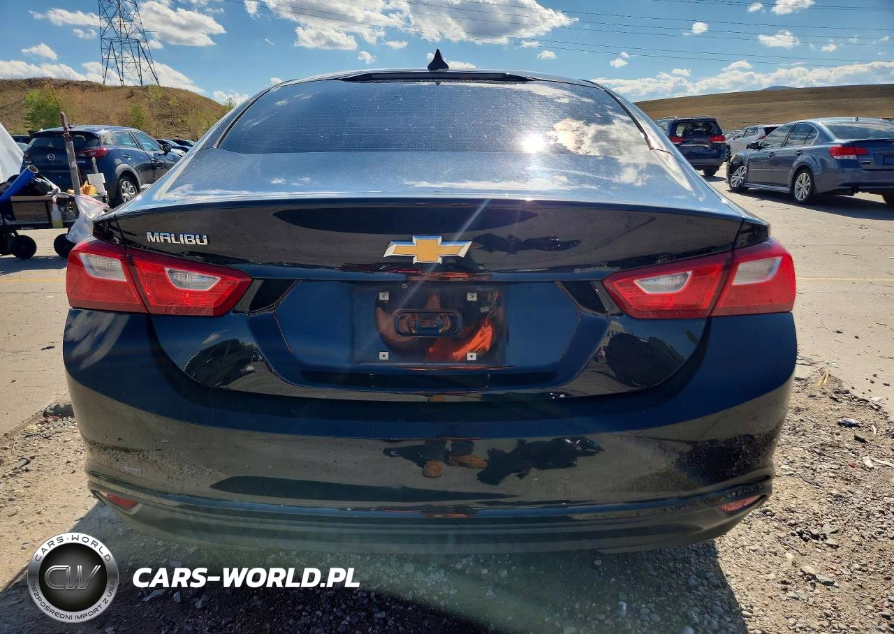 2019 Chevrolet Malibu Ls VIN:1G1ZB5ST2KF124737 - 6
