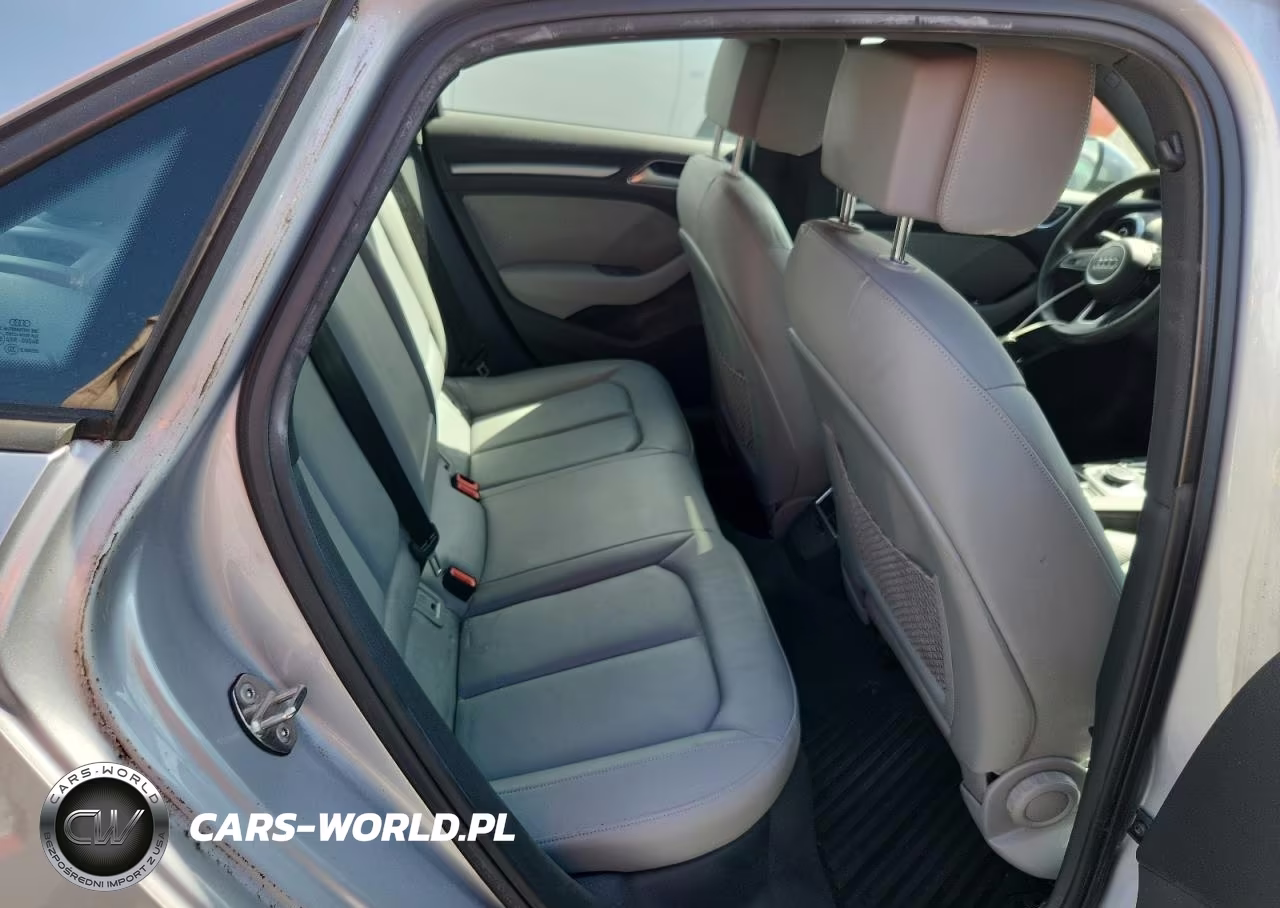 2017 Audi A3 Premium VIN:WAUAUGFF1H1067447 - 10