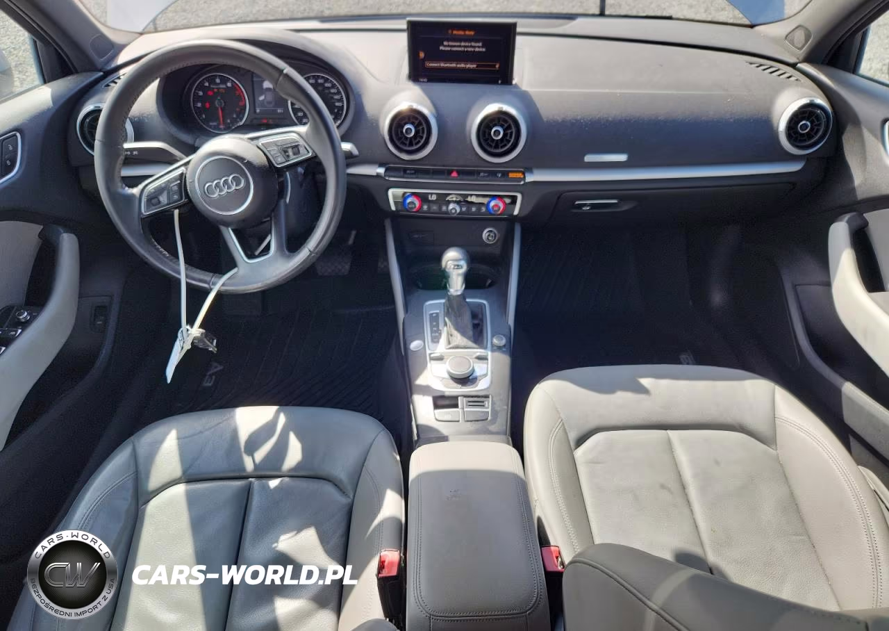 2017 Audi A3 Premium VIN:WAUAUGFF1H1067447 - 8