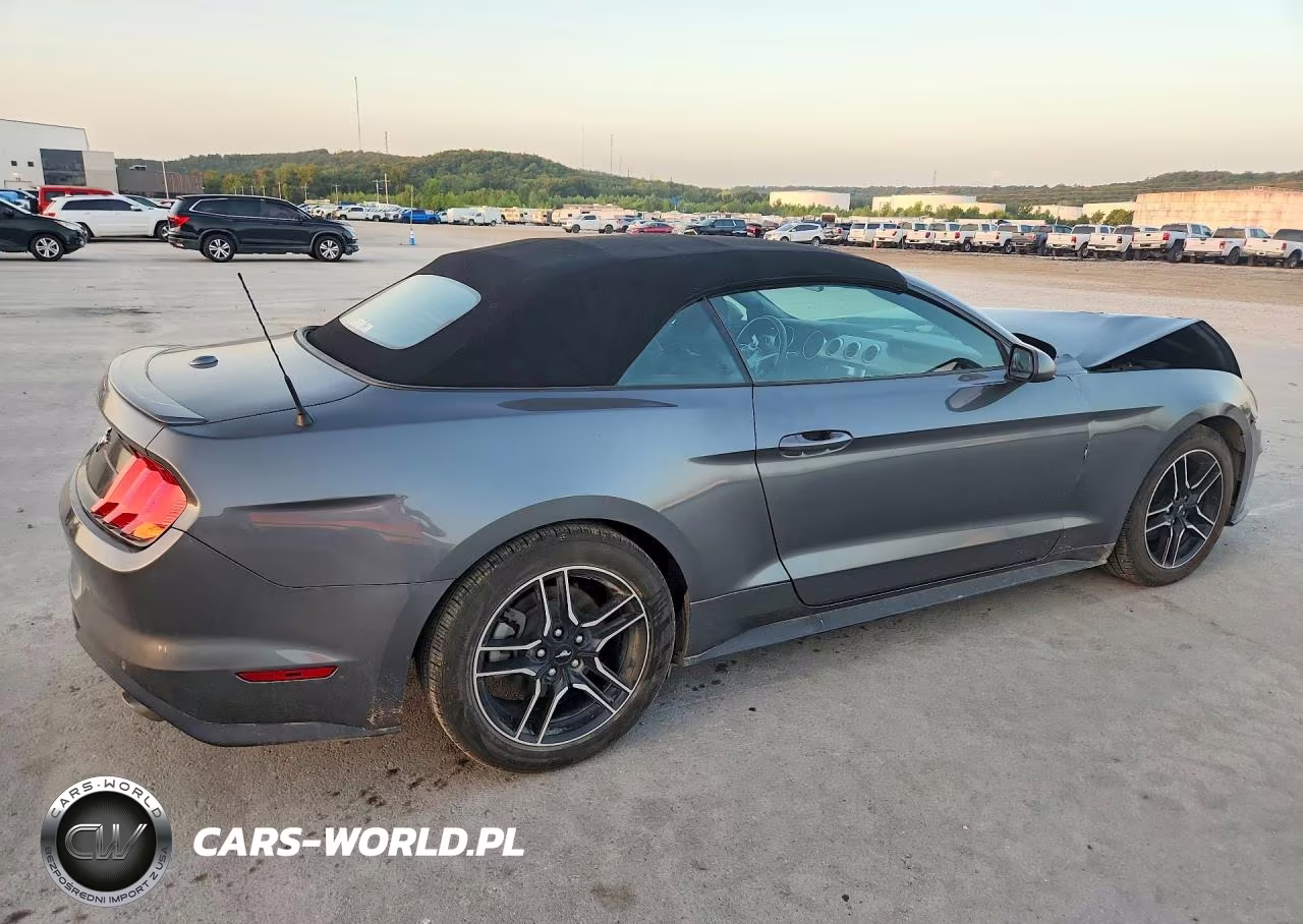 2021 Ford Mustang VIN:1FATP8UH3M5122325 - 3