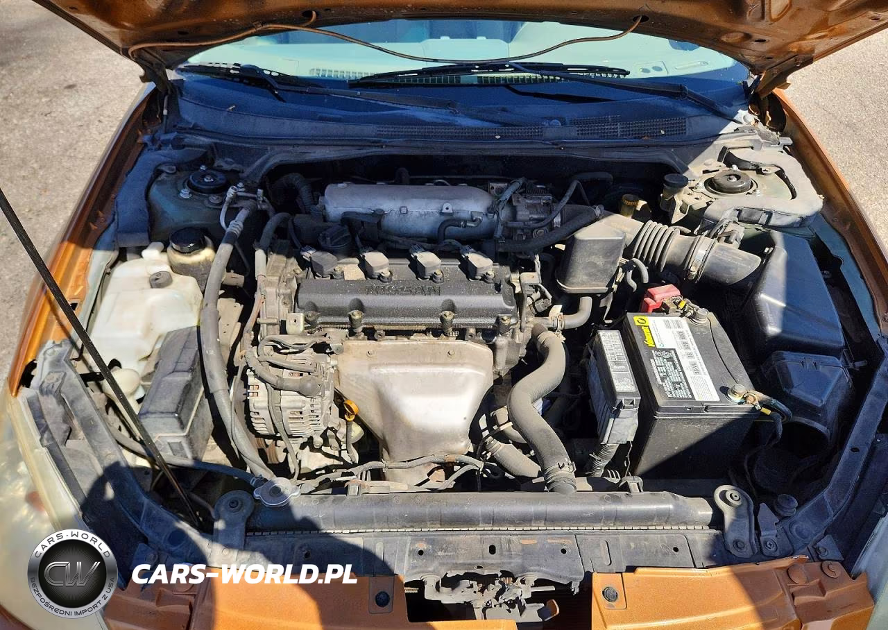 2002 Nissan Altima 2.5 VIN:1N4AL11D12C113384 - 11