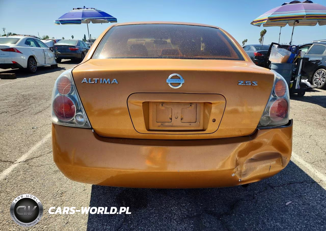 2002 Nissan Altima 2.5 VIN:1N4AL11D12C113384 - 6