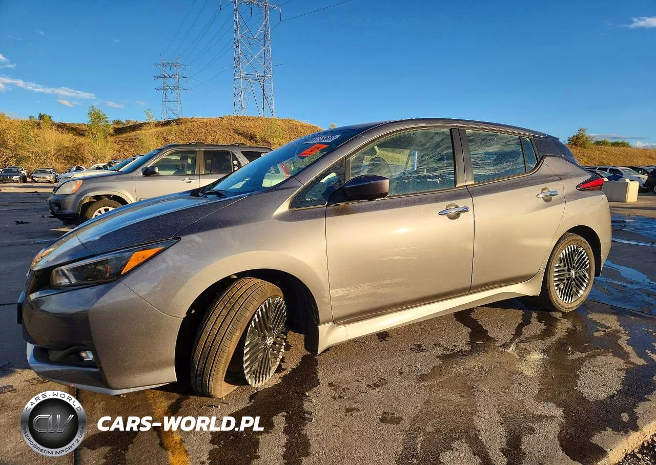 2025 Nissan Leaf Sv Plus