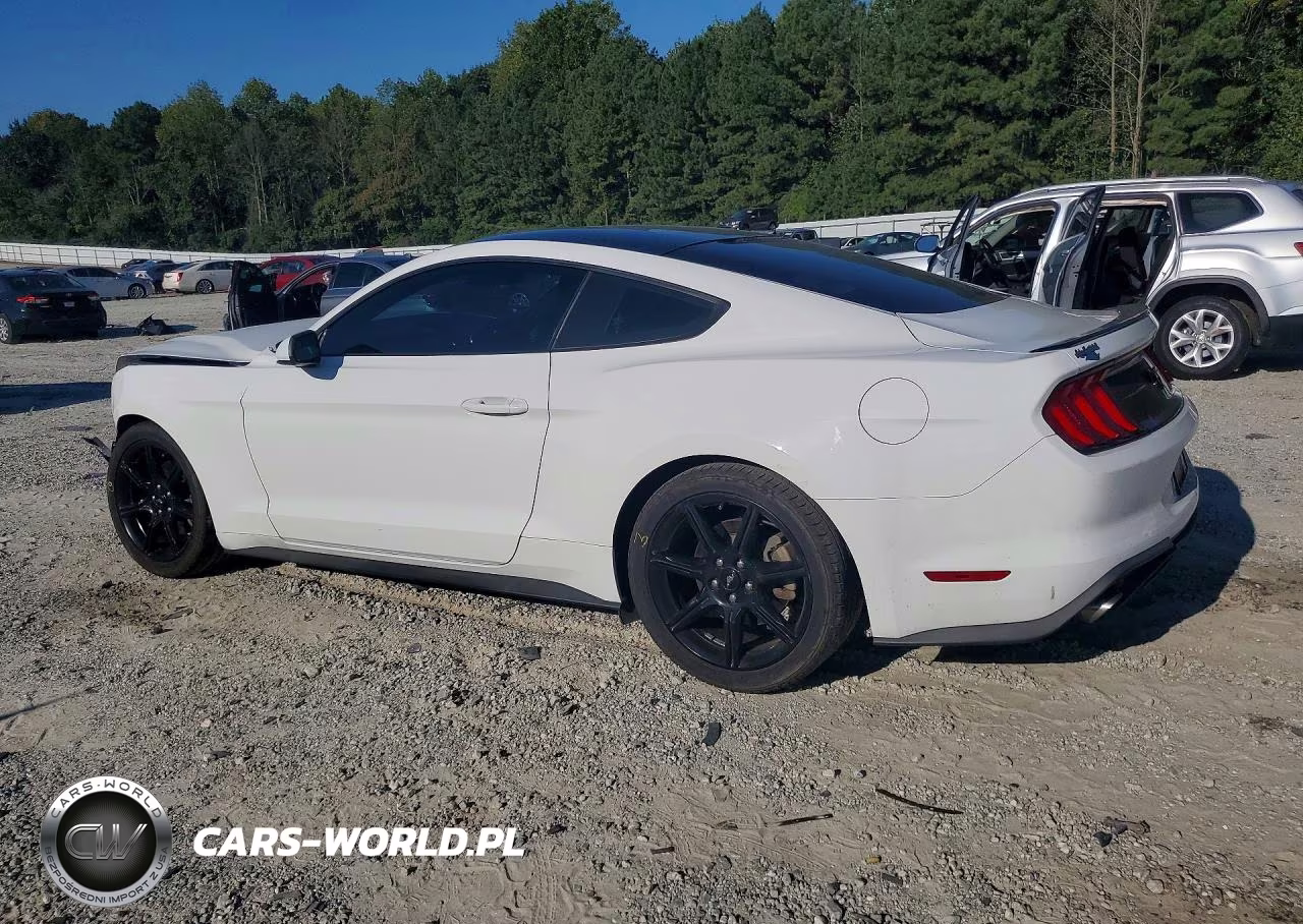 2018 Ford Mustang VIN:1FA6P8TH8J5158814 - 2