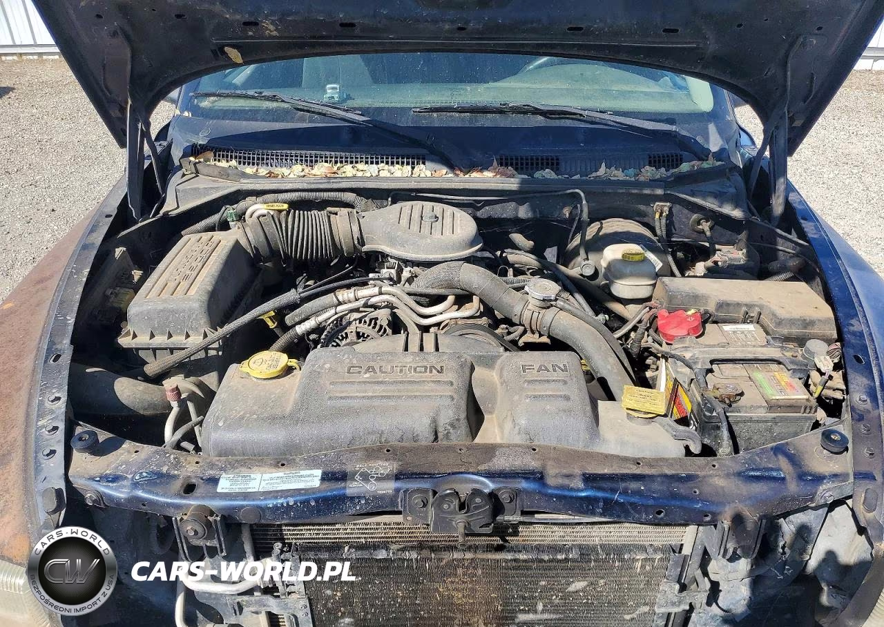 2001 Dodge Dakota VIN:1B7GL22X01S259931 - 11