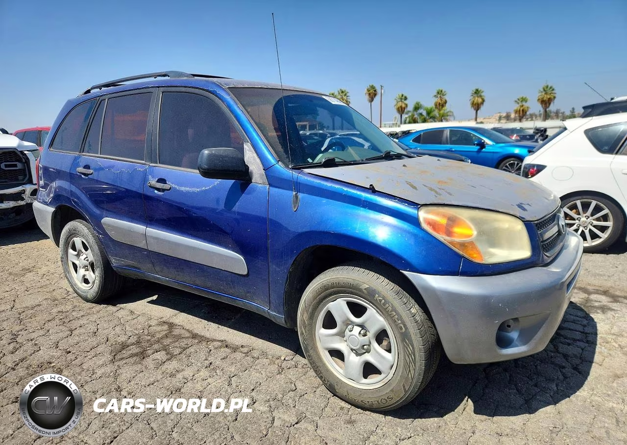 2004 Toyota Rav4 Base VIN:JTEGD20V340046501 - 4