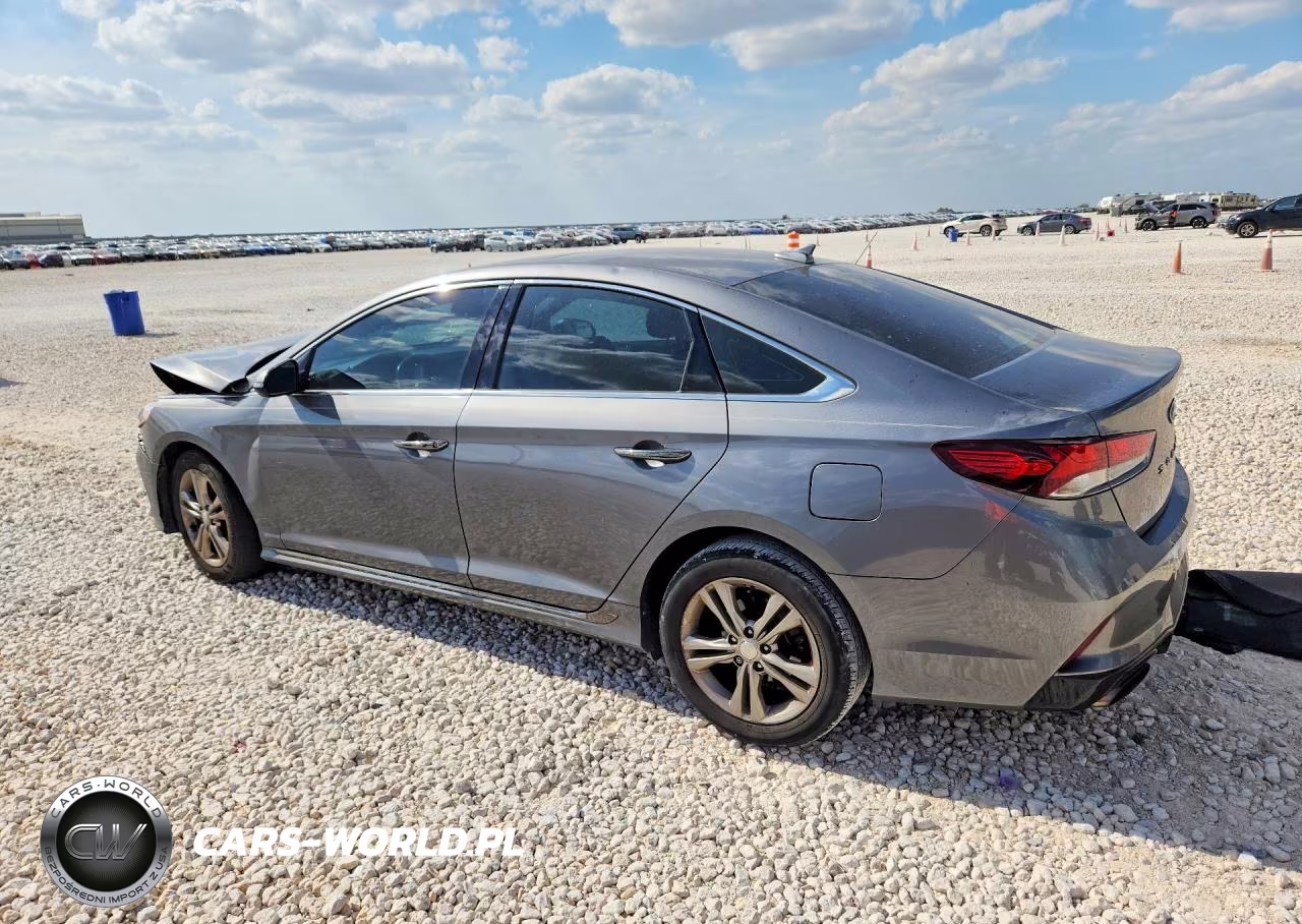 2019 Hyundai Sonata Sport VIN:5NPE34AF2KH816513 - 2