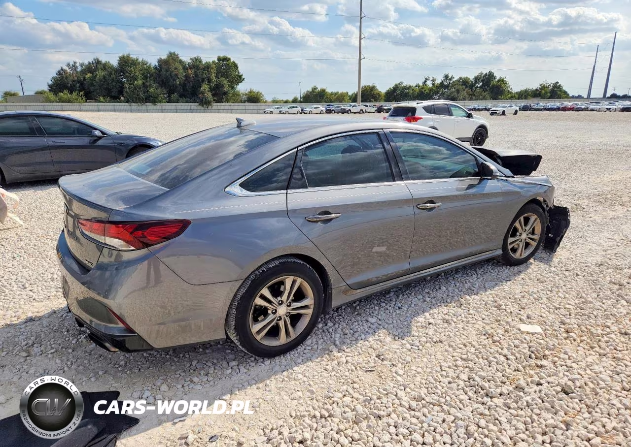 2019 Hyundai Sonata Sport VIN:5NPE34AF2KH816513 - 3