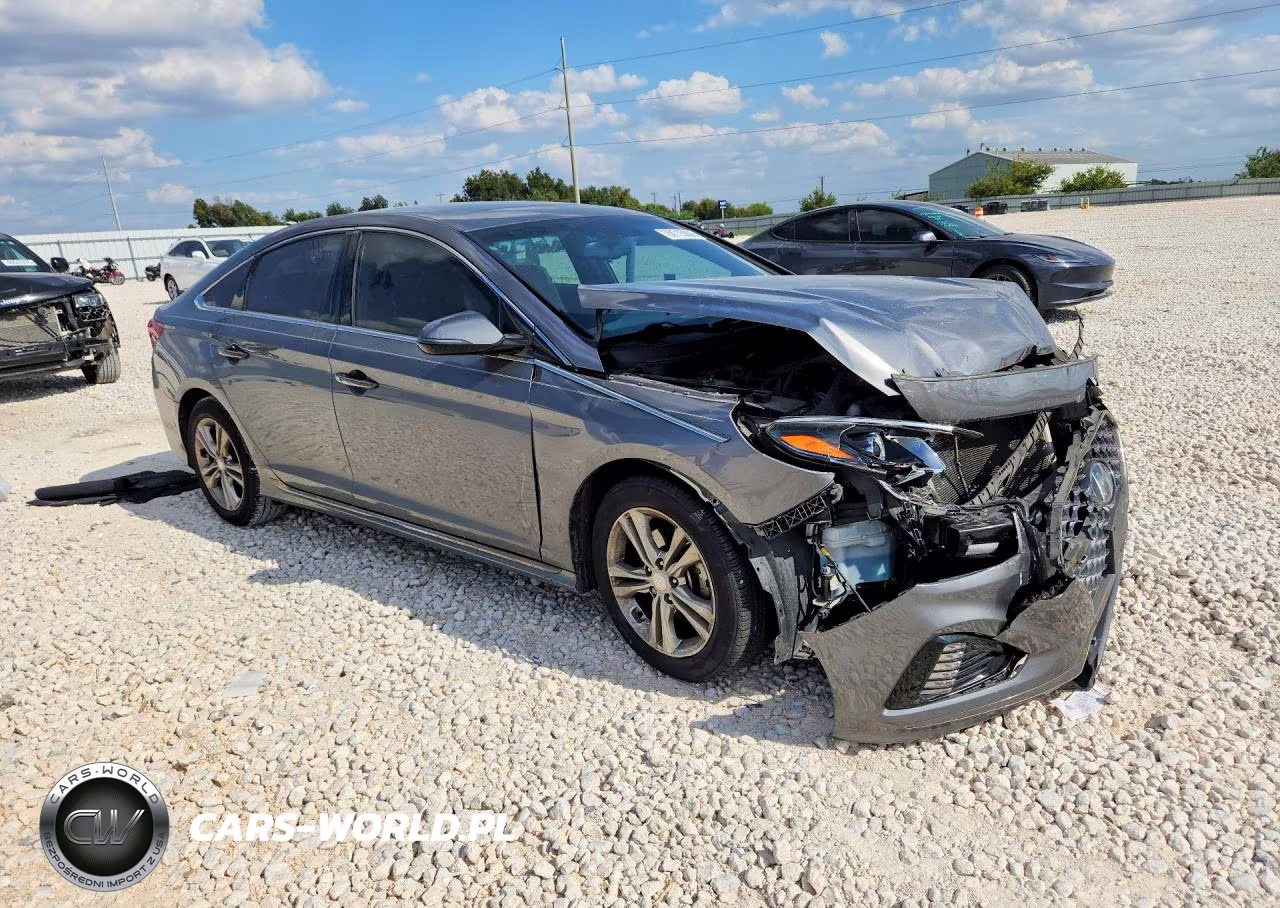 2019 Hyundai Sonata Sport VIN:5NPE34AF2KH816513 - 4