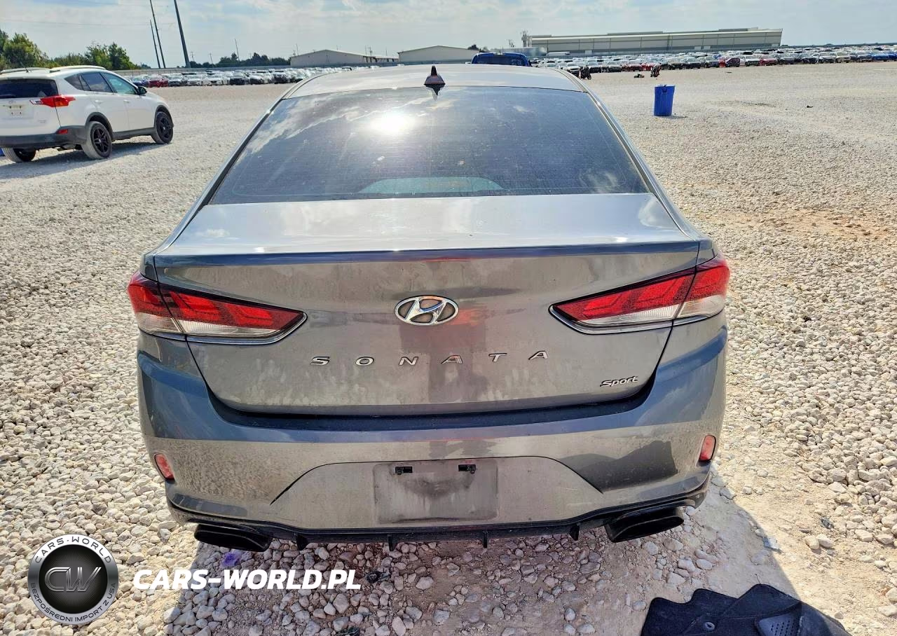 2019 Hyundai Sonata Sport VIN:5NPE34AF2KH816513 - 6
