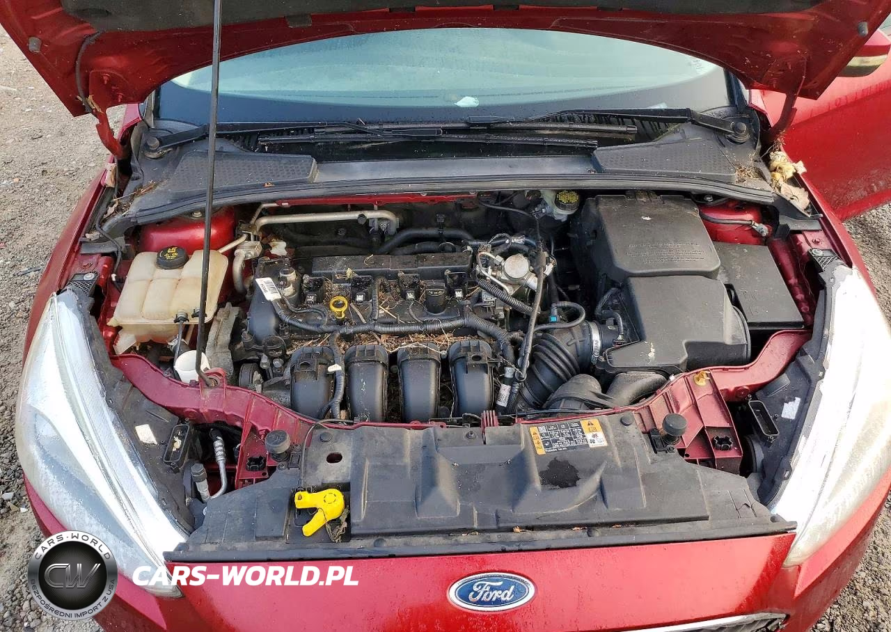 2016 Ford Focus Se VIN:1FADP3F26GL351663 - 11
