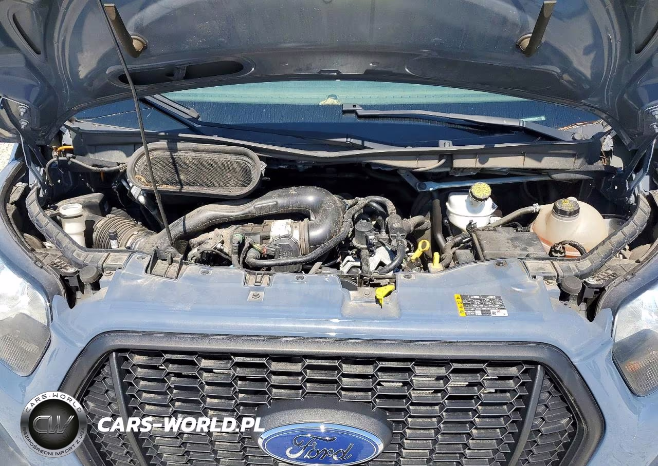 2021 Ford Transit Delivery Truck VIN:1FDDF6P89MKA55017 - 11