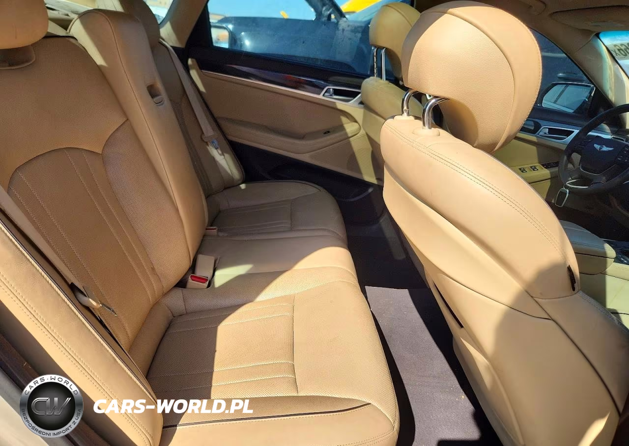 2015 Hyundai Genesis 5.0L VIN:KMHGN4JF6FU097535 - 10