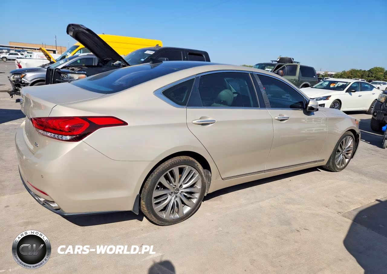2015 Hyundai Genesis 5.0L VIN:KMHGN4JF6FU097535 - 3