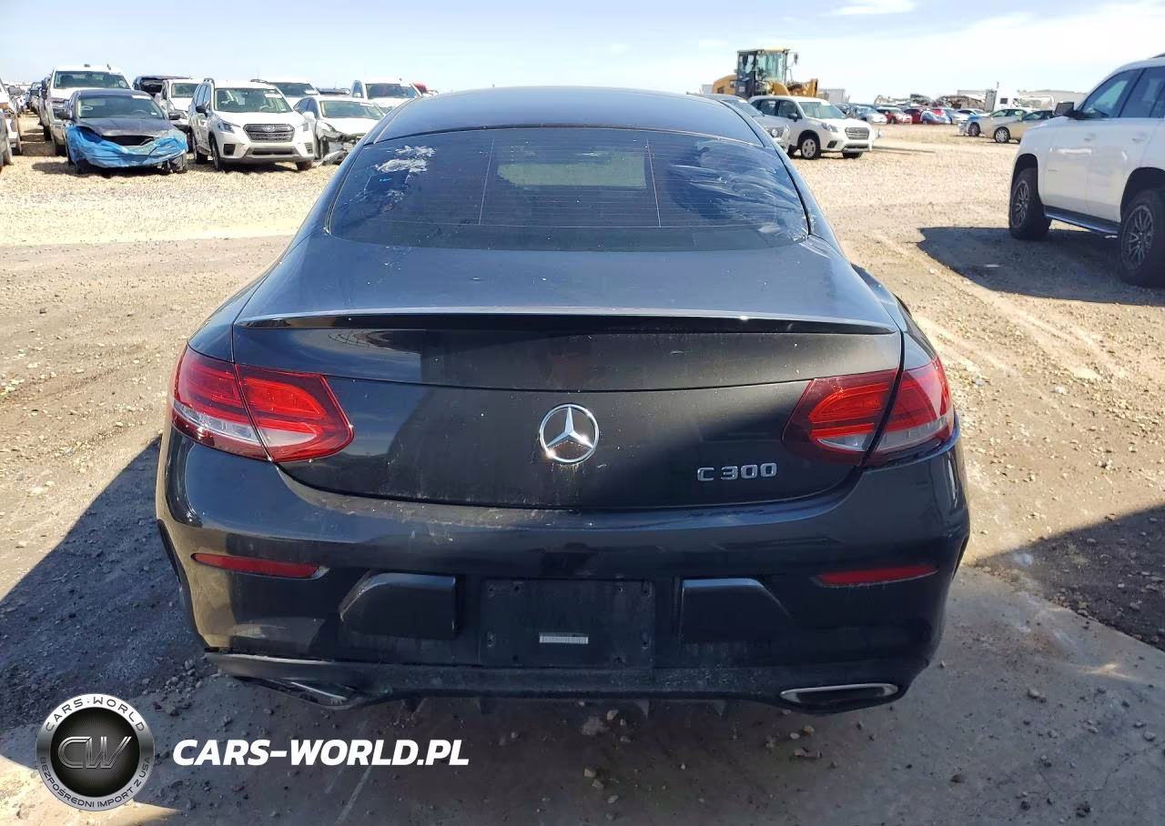 2020 Mercedes-Benz C 300 VIN:WDDWJ8DB2LF962535 - 6