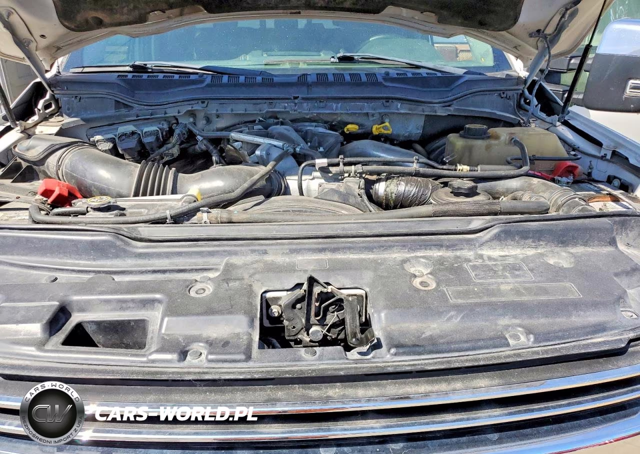 2019 Ford F250 Super Duty VIN:1FT7W2BT9KED10671 - 11