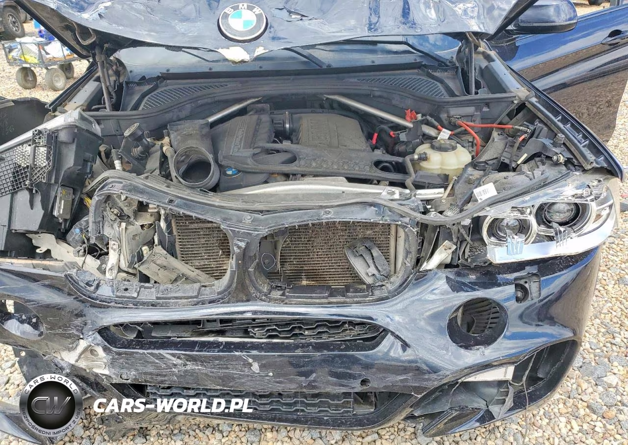 2016 BMW X6 xDrive35I VIN:5UXKU2C52G0N82675 - 12