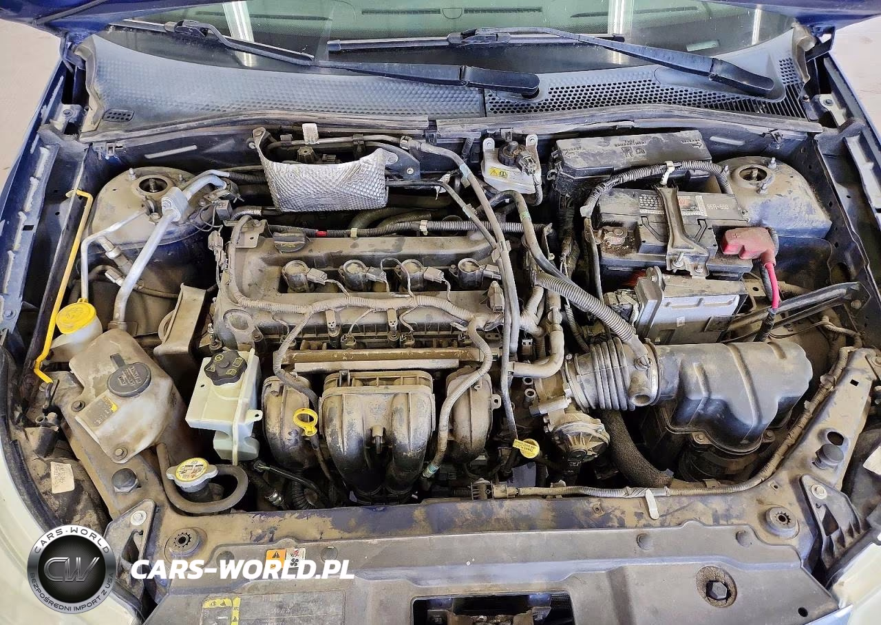 2009 Ford Focus Ses VIN:1FAHP36N99W117420 - 11