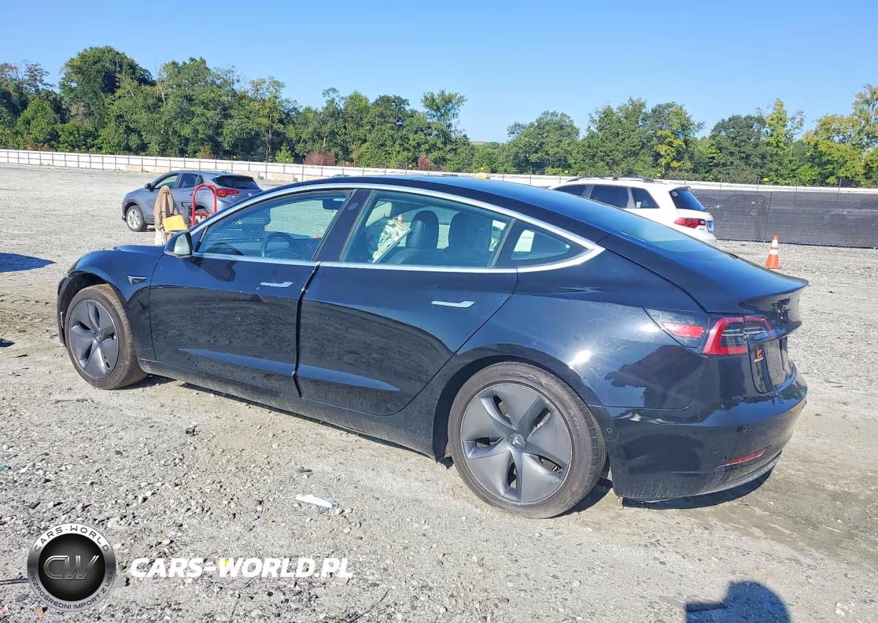2019 Tesla Model 3 VIN:5YJ3E1EA4KF397805 - 2