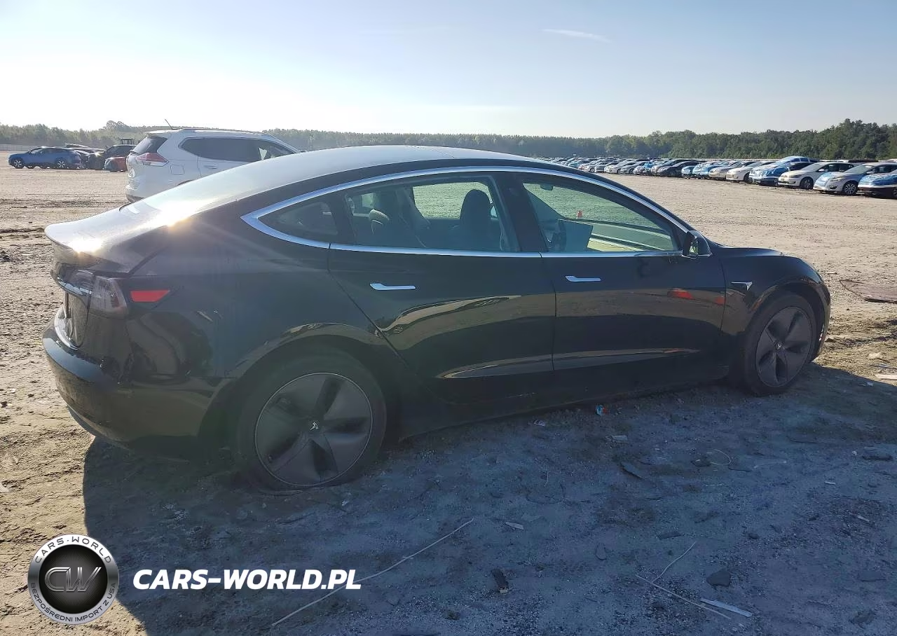 2019 Tesla Model 3 VIN:5YJ3E1EA4KF397805 - 3