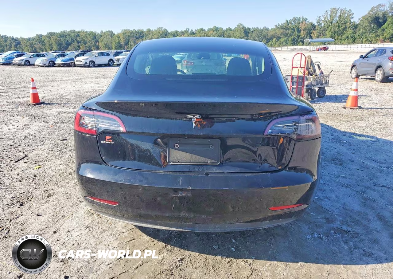 2019 Tesla Model 3 VIN:5YJ3E1EA4KF397805 - 6