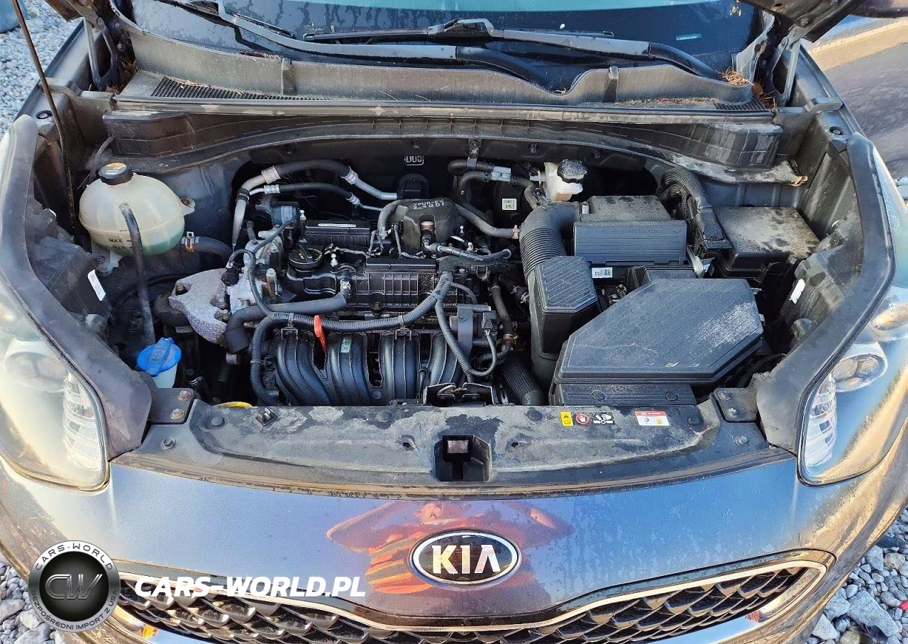 2020 Kia Sportage Lx VIN:KNDPM3AC4L7669560 - 12