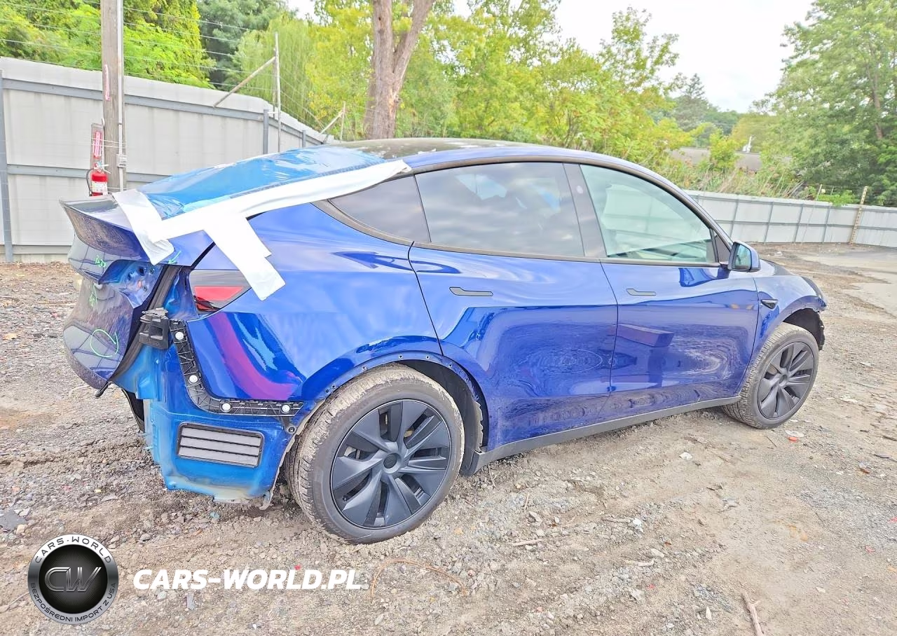 2025 Tesla Model Y VIN:7SAYGDEEXSA337905 - 3
