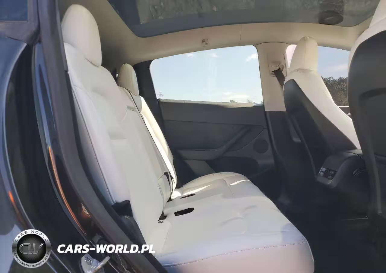 2023 Tesla Model Y VIN:7SAYGDEF6PF863550 - 10