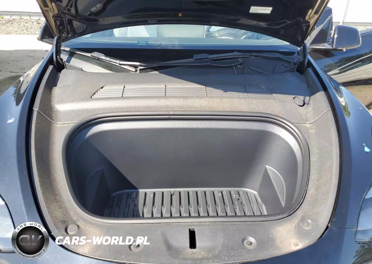 2023 Tesla Model Y VIN:7SAYGDEF6PF863550 - 11