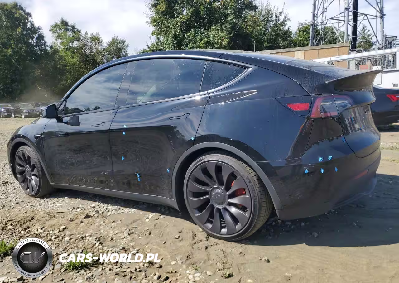 2023 Tesla Model Y VIN:7SAYGDEF6PF863550 - 2