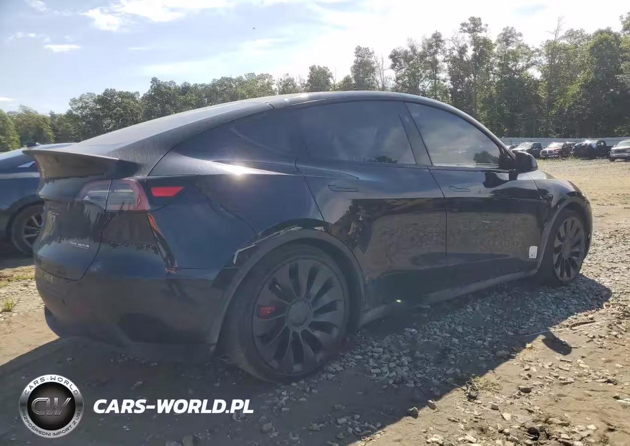 2023 Tesla Model Y VIN:7SAYGDEF6PF863550 - 3