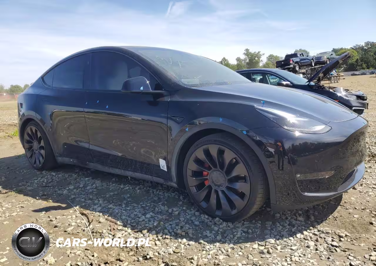 2023 Tesla Model Y VIN:7SAYGDEF6PF863550 - 4