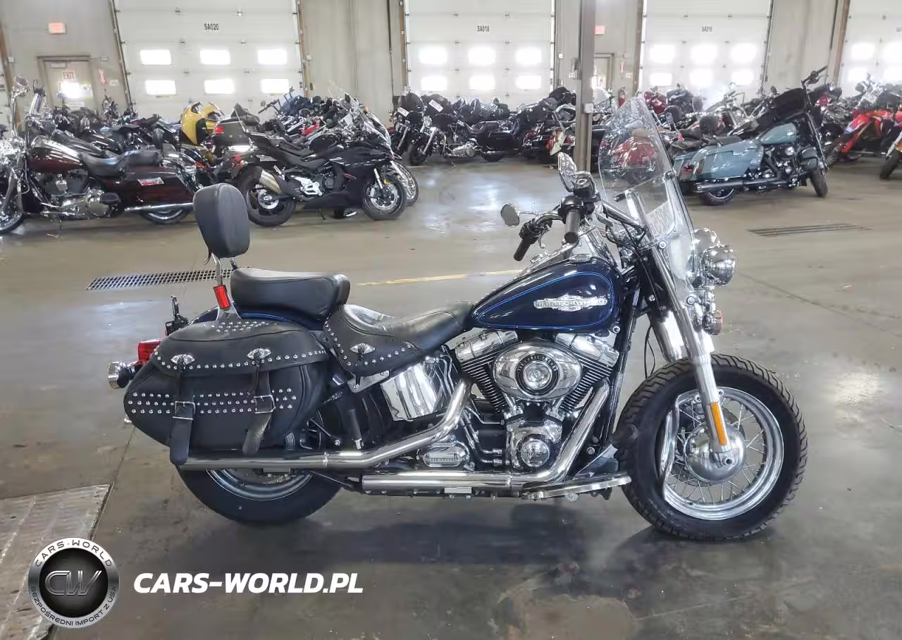 2013 Harley-Davidson Flstc Shrine