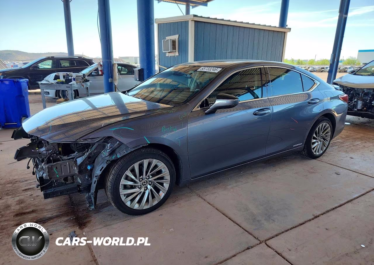 2019 Lexus Es 300H VIN:JTHB21B13K2003110 - 1