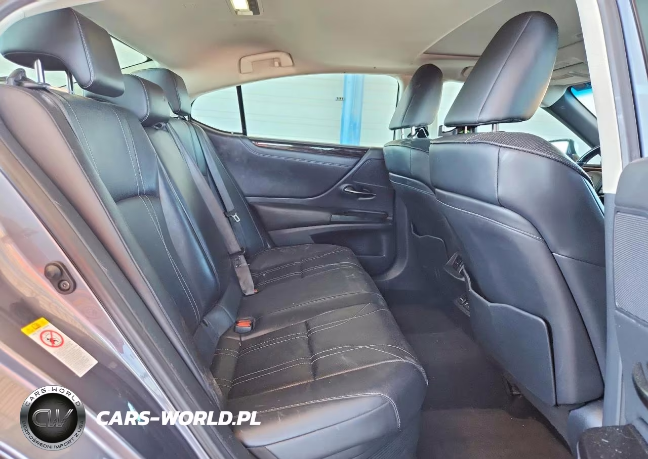 2019 Lexus Es 300H VIN:JTHB21B13K2003110 - 10