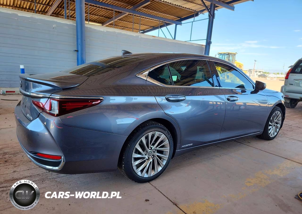 2019 Lexus Es 300H VIN:JTHB21B13K2003110 - 3