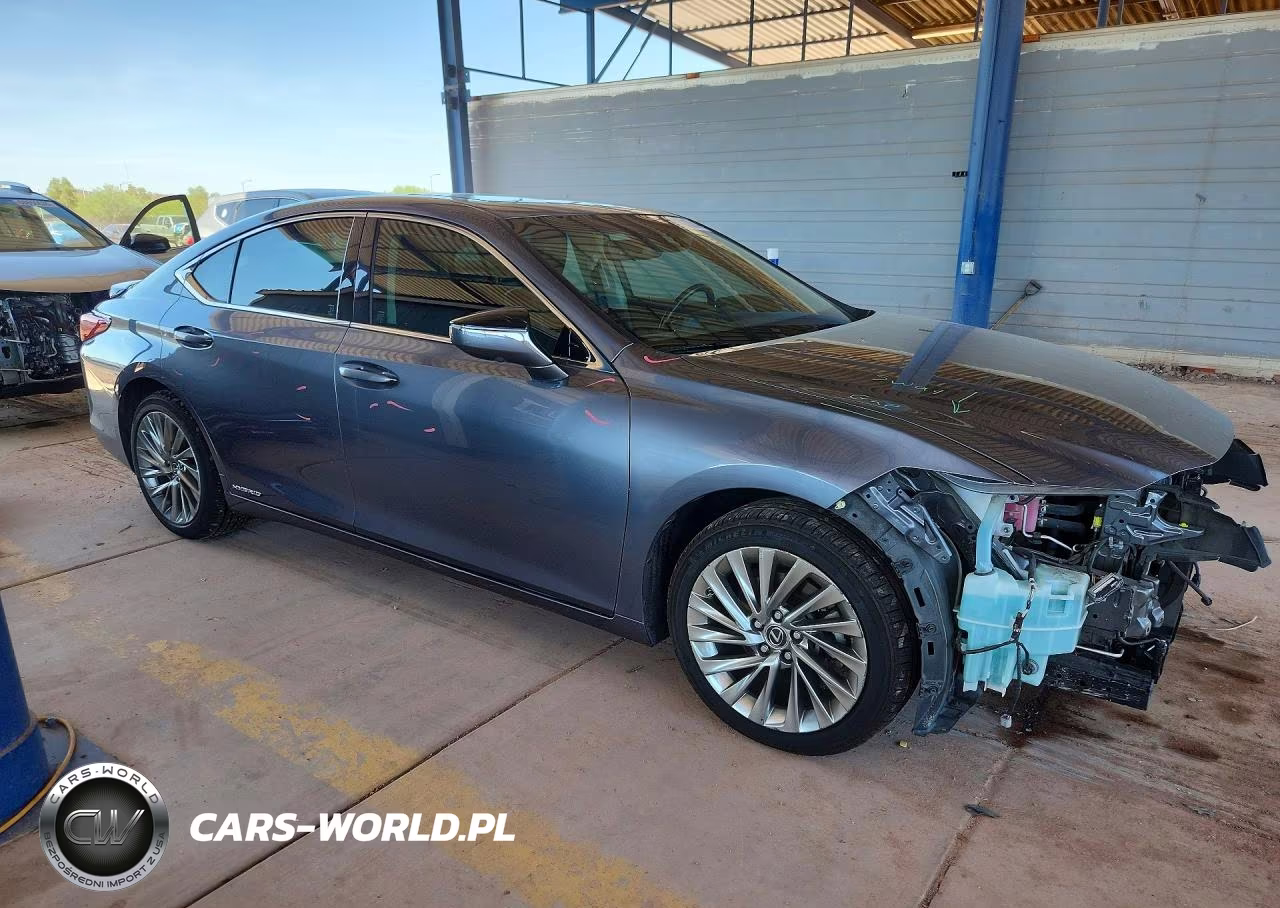 2019 Lexus Es 300H VIN:JTHB21B13K2003110 - 4