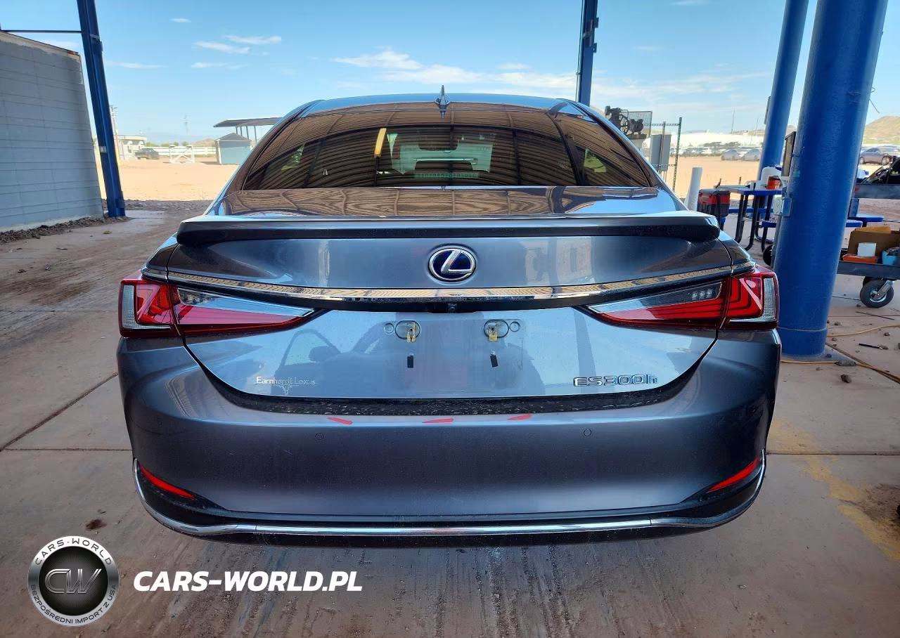 2019 Lexus Es 300H VIN:JTHB21B13K2003110 - 6