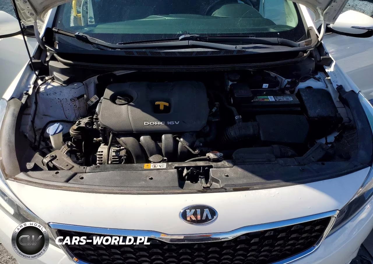 2017 Kia Forte S VIN:3KPFL4A75HE031008 - 11
