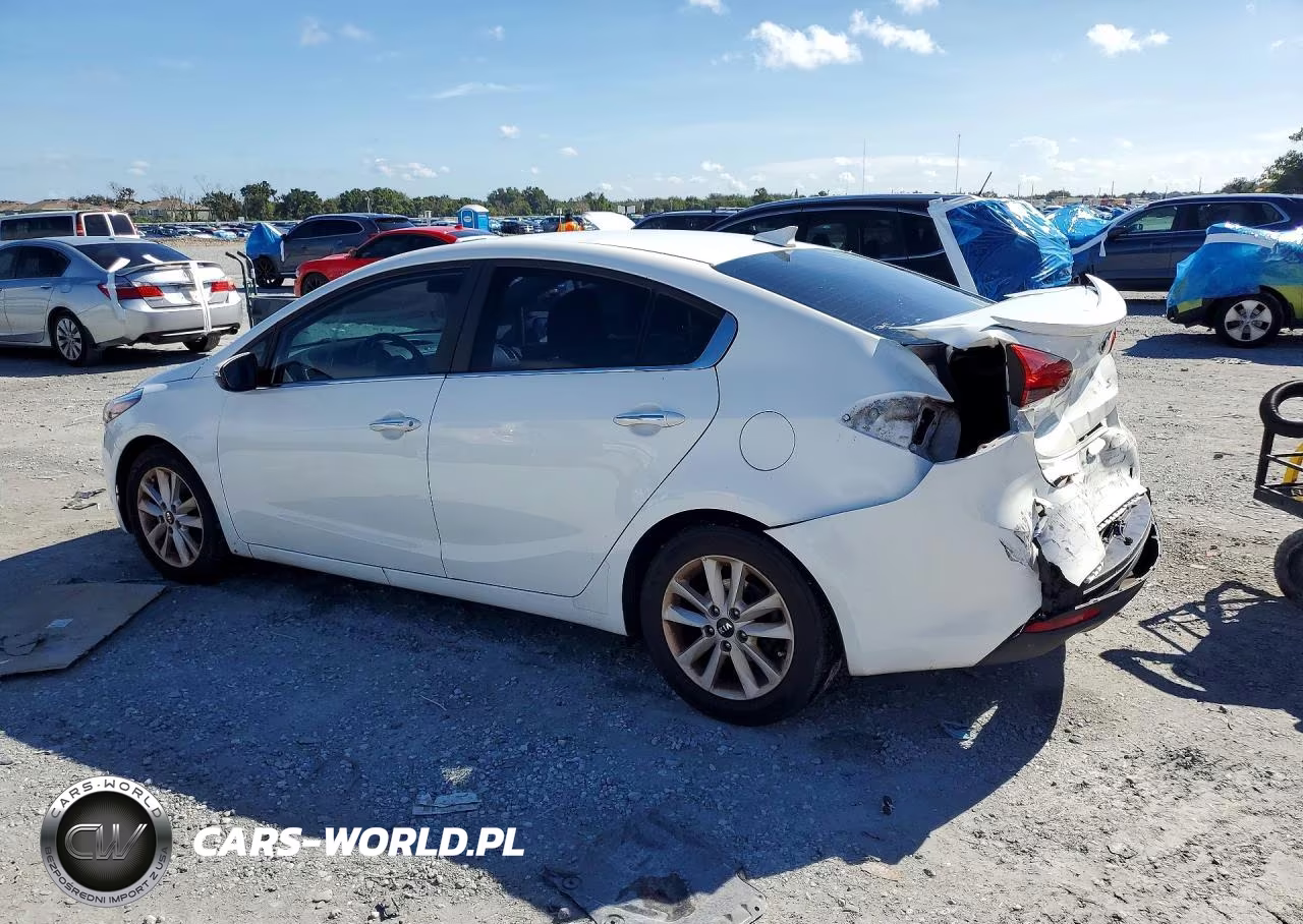 2017 Kia Forte S VIN:3KPFL4A75HE031008 - 2