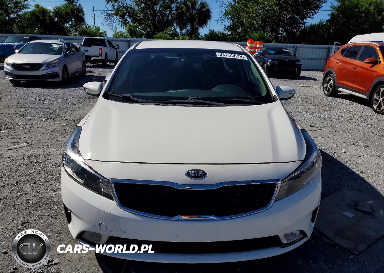 2017 Kia Forte S VIN:3KPFL4A75HE031008 - 5