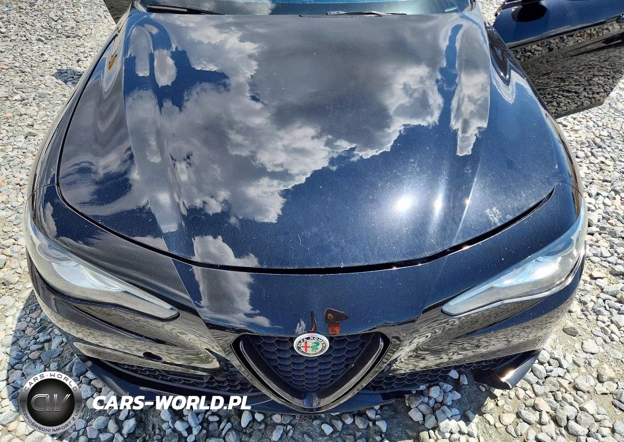 2021 Alfa Romeo Giulia Sport VIN:ZARFAMAN6M7641603 - 11